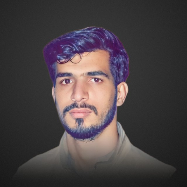 Hassnain Karim